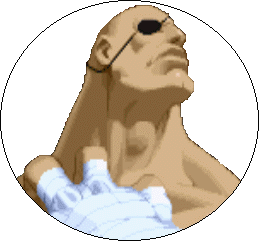 Sagat